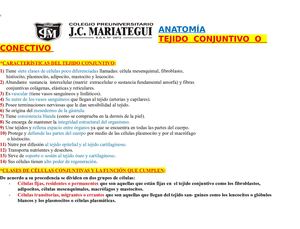 Jcm Semana 04 Tema Virtual 04 Histología Tejido Conjuntivo Caracteristicas Clasificación 5to Año Jcm Revisado
