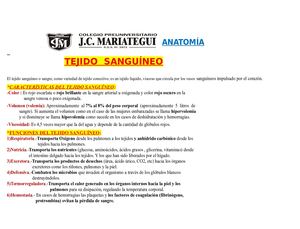 Jcm Semana 05 Tema Virtual 06 Histología Tejido Sanguíneo 5to Año Jcm