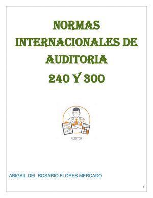 NORMAS INTERNACIONALES DE AUDITORIA
