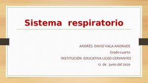 Exposicion Sistema Respiratorio