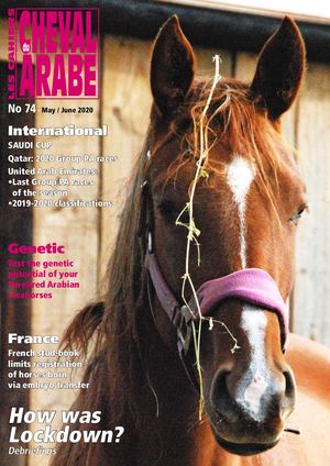 Les Cahiers du Cheval Arabe Nr 74 - English