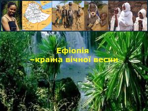 Ефіопія - країна вічної весни