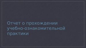 Презентация отчет по практике