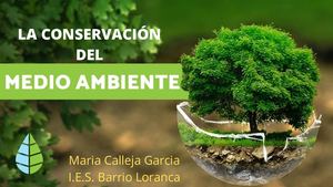 La Conservación del Medio Ambiente.