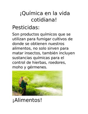 Química En La Vida Cotidiana Hefvhydvf