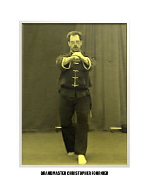 Shifu Christopher Fournier Five Animal Kung Fu Martial Arts