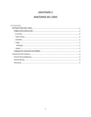 Partes Del Oido Externo