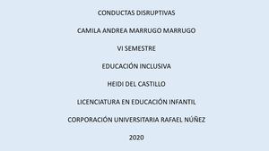 Conductas Disruptivas