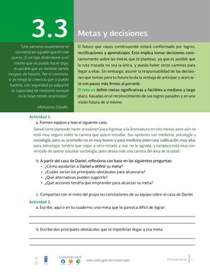3 3 E Metas Y Decisiones
