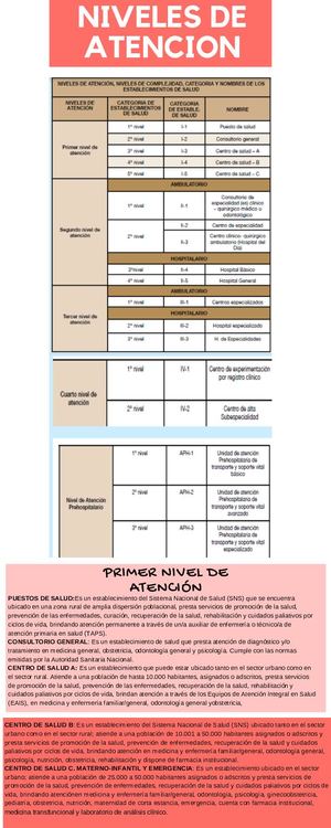 Niveles De Atencion
