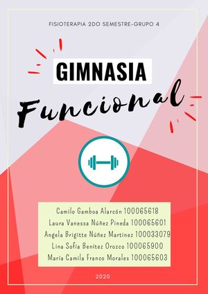 Gimnasia funcional en la fisioterapia