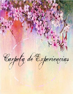 Carpeta De Experiencias
