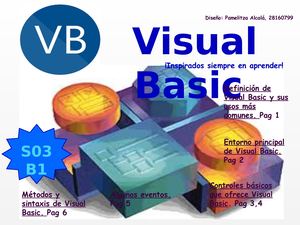 Visaul Basic Pamelitza