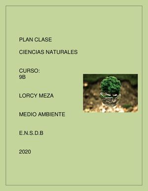 Plan Clase Medio Ambiente
