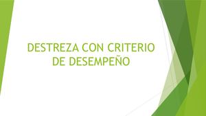 Destreza Con Criterio De Desempeño
