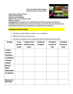 Séptimo Semana 5-II PARCIAL
