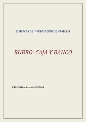 Rubro Caja y Banco. Arqueo de Caja