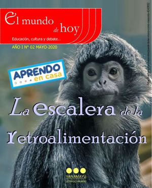 La Escalera de Retroalimentación