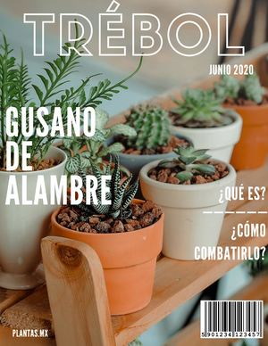 Revista Gusano De Alambre Eymii