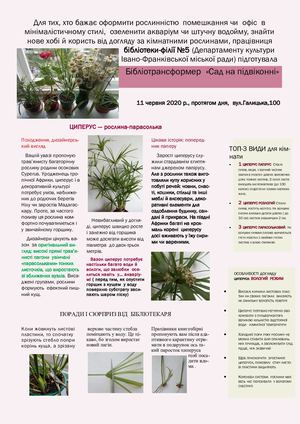 ЦИПЕРІУС. САД НА ПІДВІКОННІ