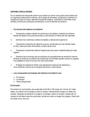Sistema Circulatorio