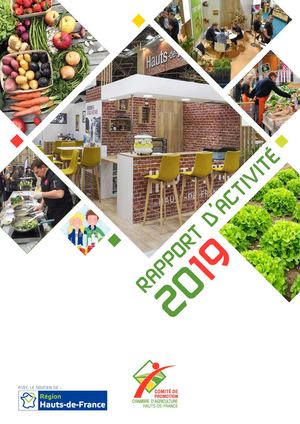 Rapport D'activité 2019 Comité De Promotion Bd Page