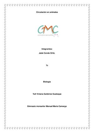 Circulacion En Reptiles