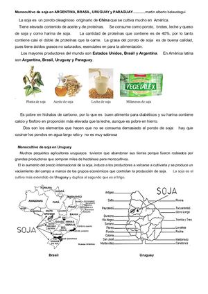 Producción y monocultivo de soja en América Latina y  Argentina