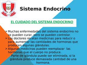 Sistema Endocrino