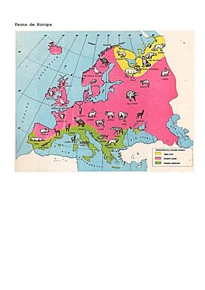 Fauna de Europa