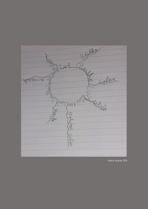 CALIGRAMA SOL PEDRO ARAÚJO 5ºB