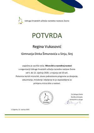 Regina Vukasović  Micro Bit