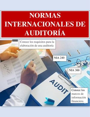 Normas Internacionales De Auditoria
