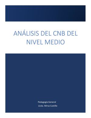 Analisis De Cnb Nivel Medio
