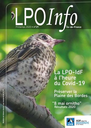 Lpoinfo 29 Printemps 2020
