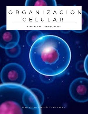 Revista Organización Celular