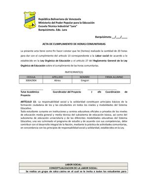 Informe De Labor Social Copia