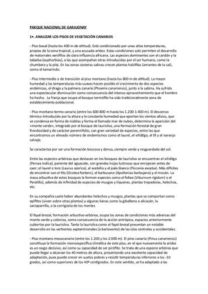 Parque Nacional De Garajonay