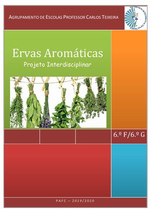 Ervas Aromáticas 6ºf 6ºg