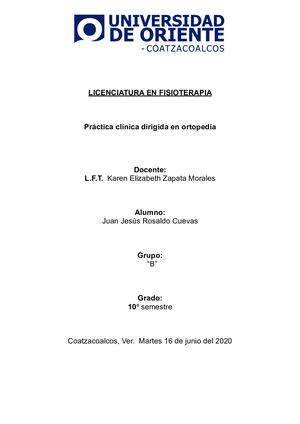 Plan de prevención de lesiones. (overhead squat test, single leg squat y Estocada) y las valoraciones funcionales dinámicas (Proyecto final).