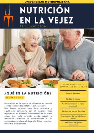Nutrición En La Vejez 4