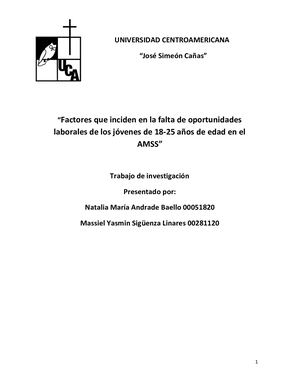 “Factores Que Inciden En La Falta De Oportunidades Laborales De Los Jóvenes De 18 25 Años De Edad En El Amss” (1)