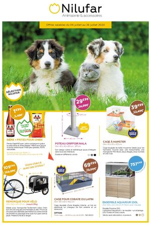 Tract publicitaire Nilufar Juillet 2020