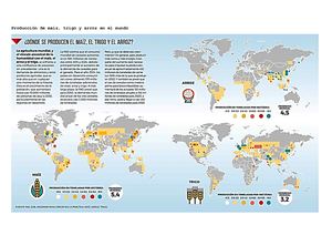 Producción de maíz, trigo y arroz en el mundo