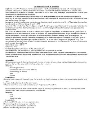 Clase 2 Desnaturalizacion De Proteinas Experimentacion