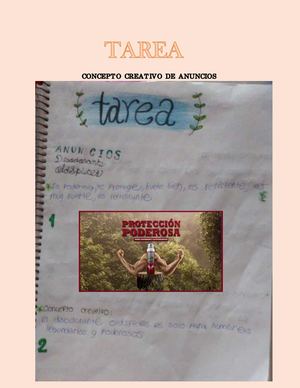 Concepto Publicitario De Los Anuncios Asll