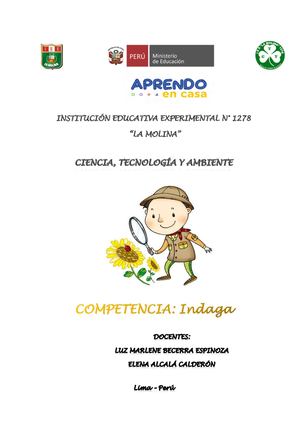 Proyecto Indagación1