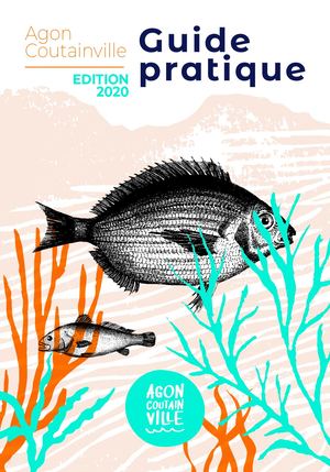 Guide Pratique 2020