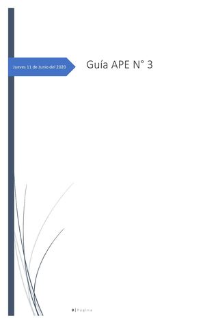 Guía Ape N°4