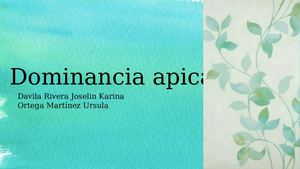 Dominancia Apical